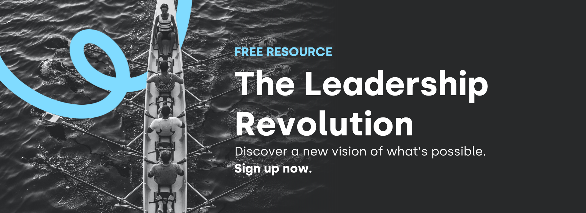 Leadership Revolution - Sign up form banner