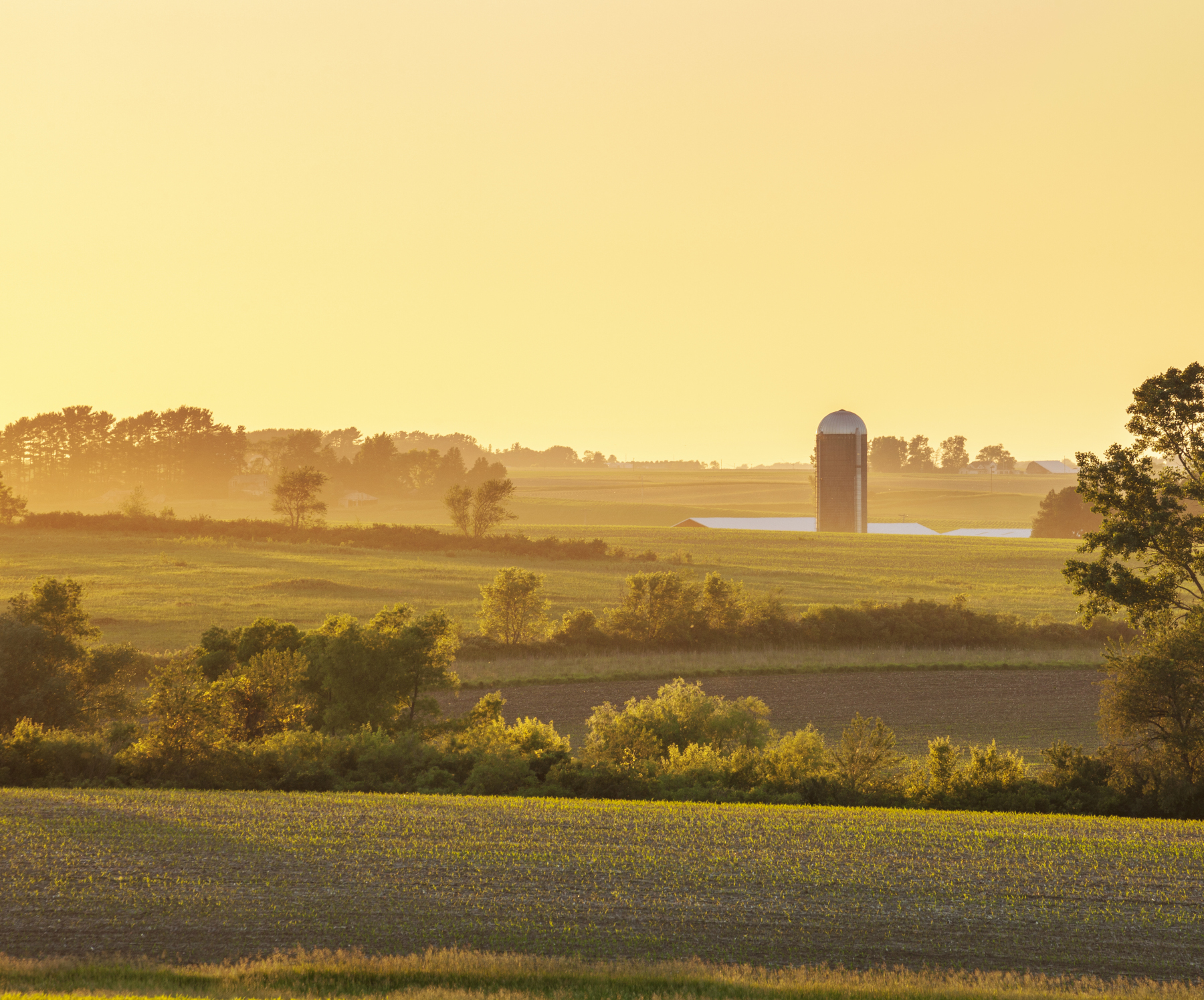 farm-and-fields-and-trees-at-sunset